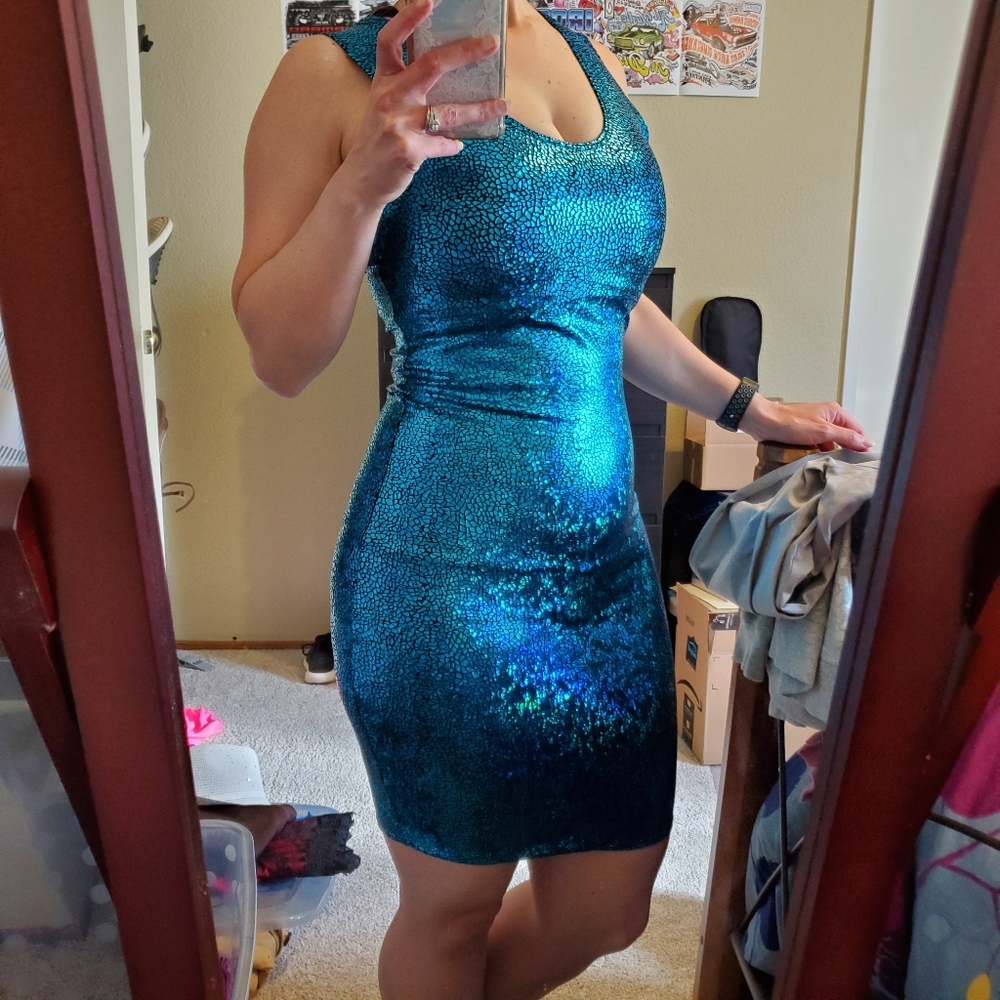 Coquetry Clothing Iridescent Metallic Dress